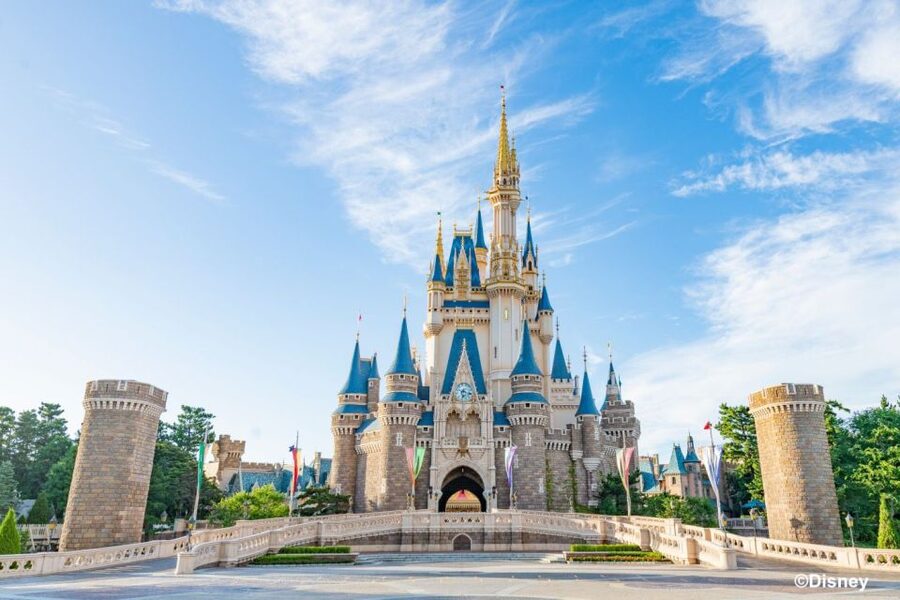 Tokyo Disneyland 1-Day Passport - Key points before you go