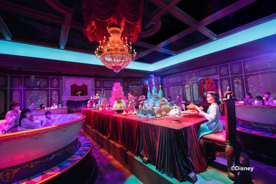 Tokyo Disneyland 1-Day Passport - Crowd reality: cold weather, long days, and ride closures