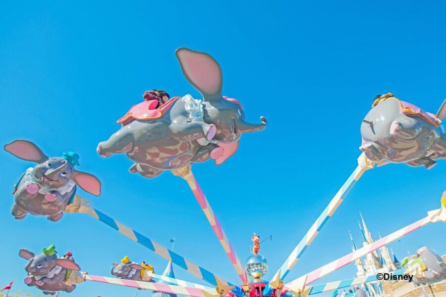 Tokyo Disneyland 1-Day Passport - Getting in fast: the QR scan and Tokyo Disney app tip