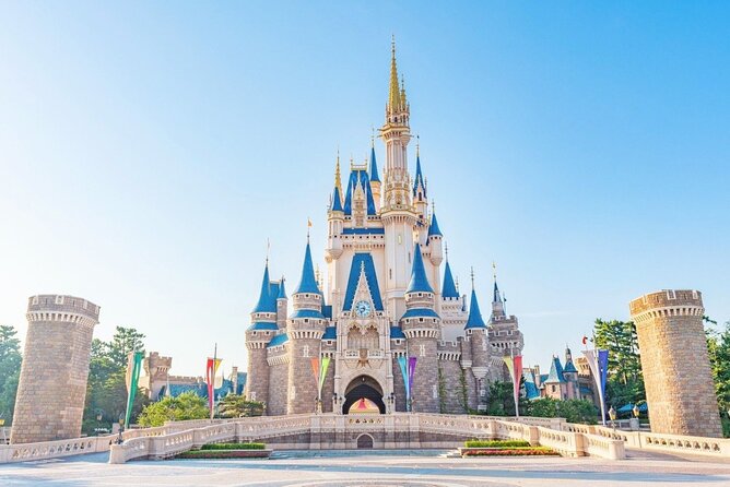 Tokyo Disneyland: 1-Day Ticket & Private Hotel Transfer - Hotel transfer options: one-way or return, tailored to your day