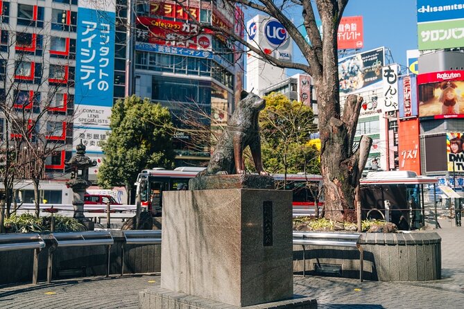 Tokyo Early Morning Tour Asakusa Meiji Shrine (Private Opt) - Stop 4: Shibuya Crossing’s controlled chaos at the right moment