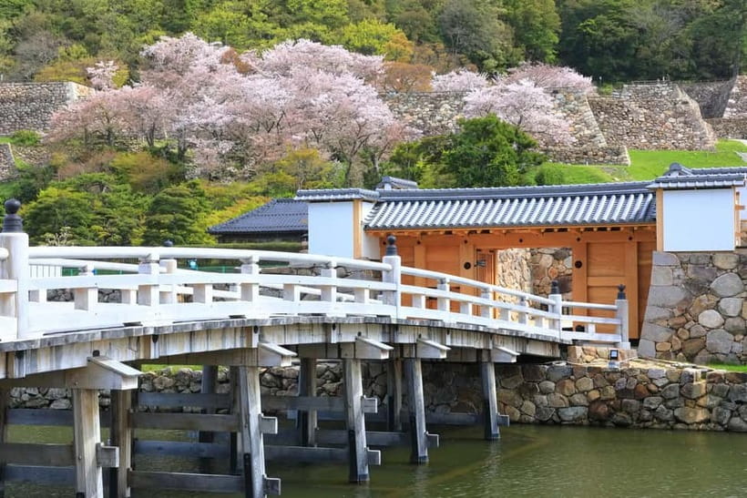 Tokyo: Edo Castle & East Garden of the Imperial Palace Tour - Should you book the Tokyo Edo Castle & East Gardens tour?