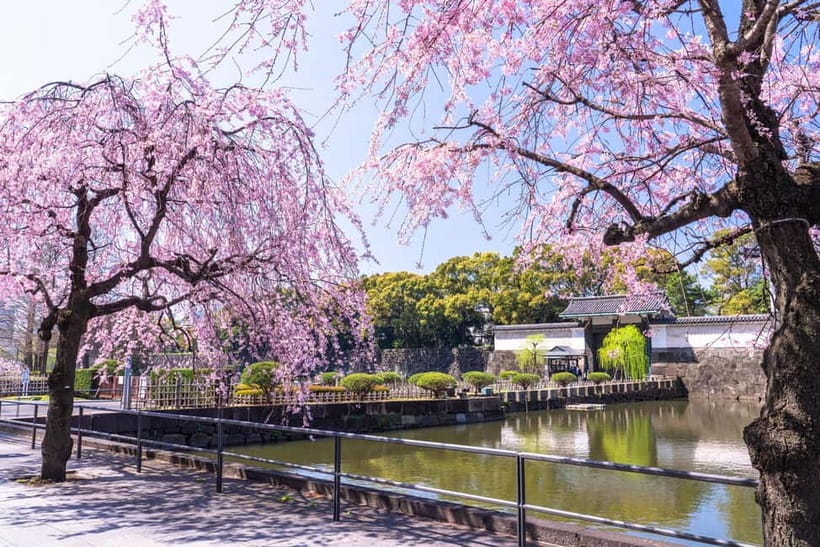Tokyo: Edo Castle & East Garden of the Imperial Palace Tour - Who should book this tour