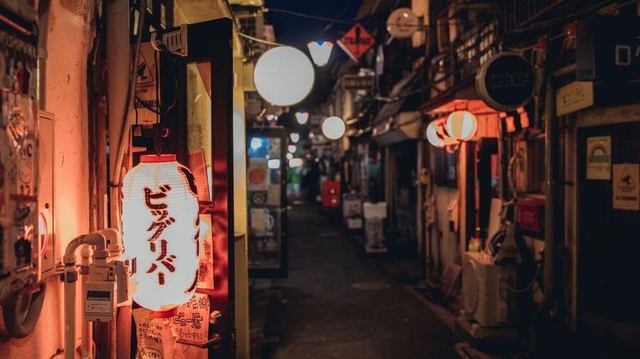 Tokyo: Enjoy Tokyo's Nightlife in Shinjuku - Izakaya-Style Bites and Three Drinks: Built for an Easy Evening