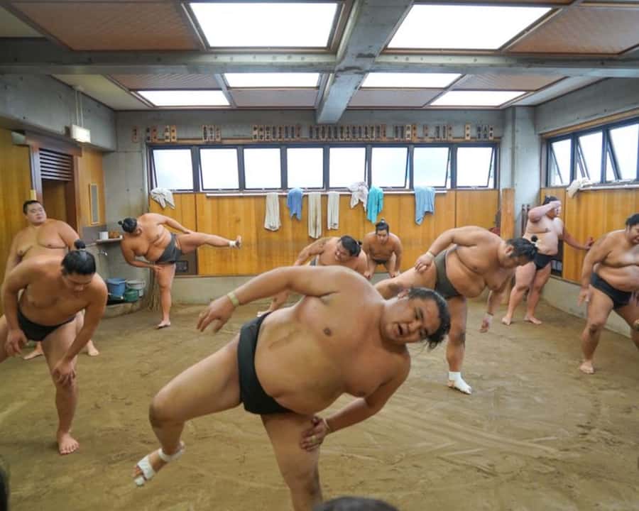 Tokyo: Exclusive Access to Sumo Morning Practice with Photos - Key highlights you’ll feel right away