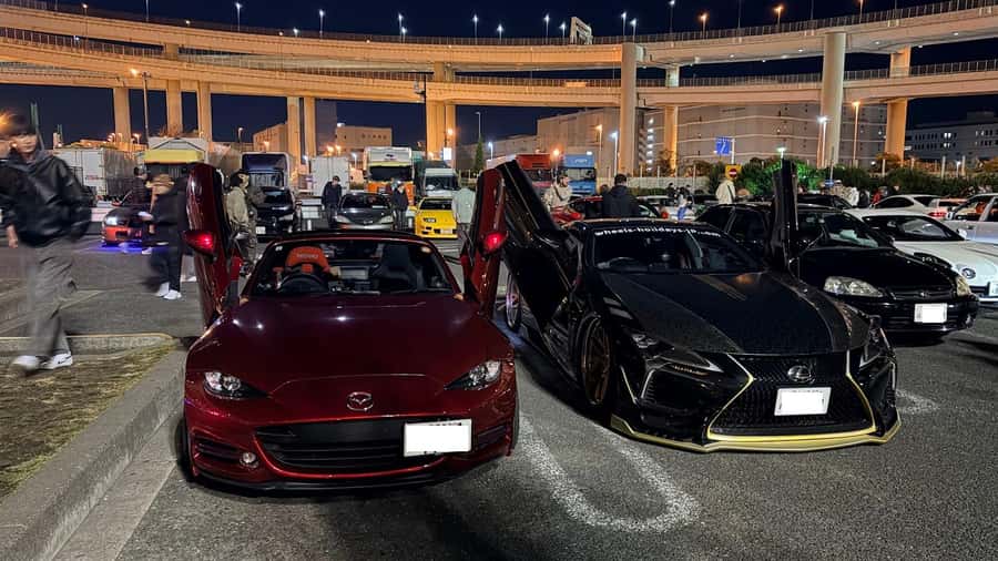 Tokyo: Fast & Furious Authentic Drift and JDM Experience - Cars, Guides, and Language Support That Helps You Enjoy the Night