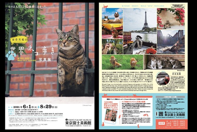 Tokyo Fuji Art Museum Admission Ticket + Special Exhibition (when being held) - Special exhibitions: what changes and why it matters