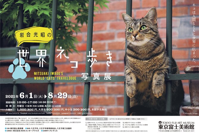 Tokyo Fuji Art Museum Admission Ticket + Special Exhibition (when being held) - Price check: is $5.27 really a deal?