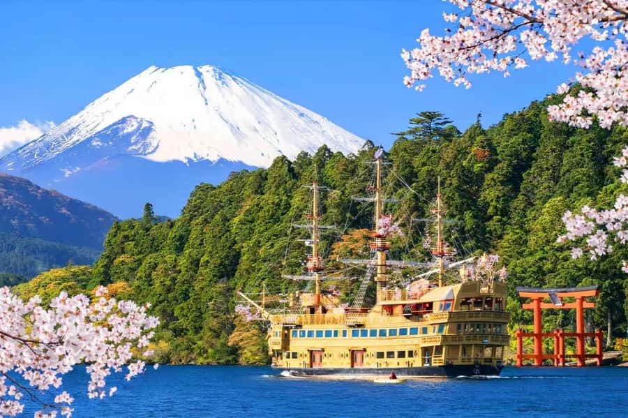 Tokyo: Fuji Cable Car Tour (Ticket Inc.) – Kawaguchiko Views - Key points that make this day trip worth it
