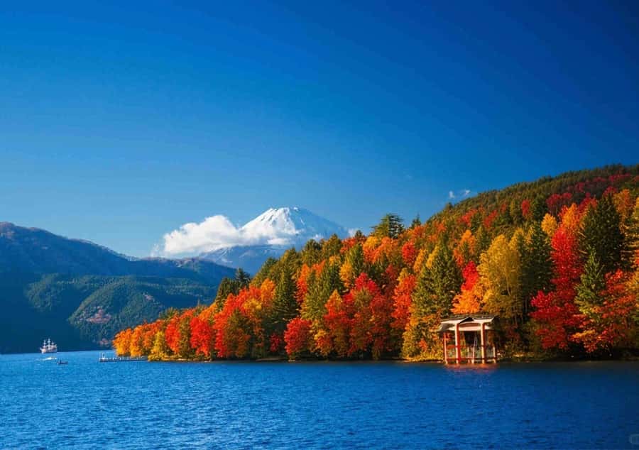 Tokyo: Fuji Cable Car Tour (Ticket Inc.) – Kawaguchiko Views - Oshino Hakkai: The Eight Spring Ponds at Japan’s Little Switzerland