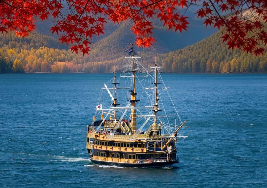 Tokyo: Fuji Cable Car Tour (Ticket Inc.) – Kawaguchiko Views - Lake Yamanaka Swans: A Calm Nature Moment Between Major Stops