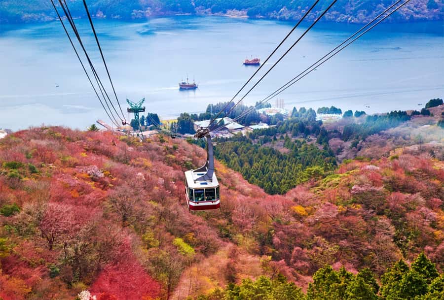 Tokyo: Fuji Cable Car Tour (Ticket Inc.) – Kawaguchiko Views - Practical Tips for a Smoother Day With Weather, Queues, and No-Food-On-Buses