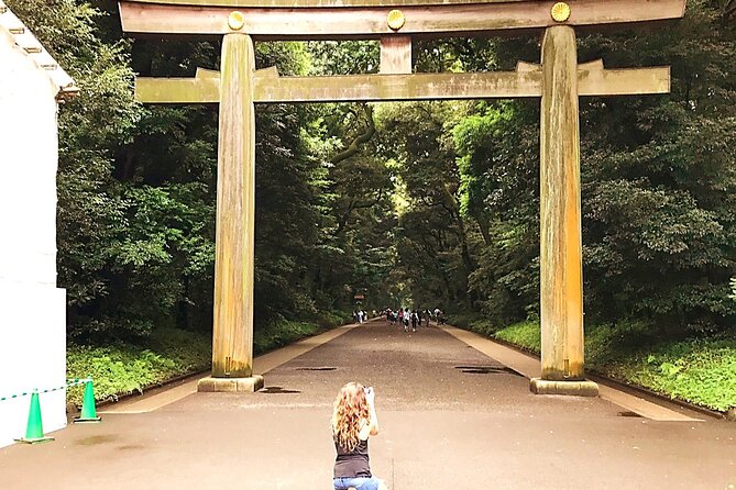 Tokyo Full Course Tour: Explore 10 Must-See Sights & Hidden Gems - Hachiko and Shibuya Crossing: Tokyo’s Daily Performance
