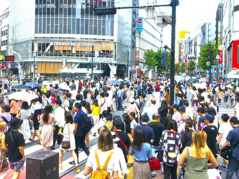 Tokyo: Full Course Tour: Explore 15 Must-Sees & Hidden Gems - Imperial Palace to Marunouchi to Tokyo Station: Stone Walls and the Red-Brick Signal