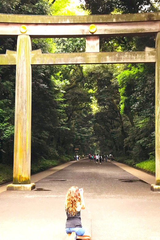 Tokyo: Full Course Tour: Explore 15 Must-Sees & Hidden Gems - Ueno Park and Ameyoko: Art Energy Meets Street Shopping