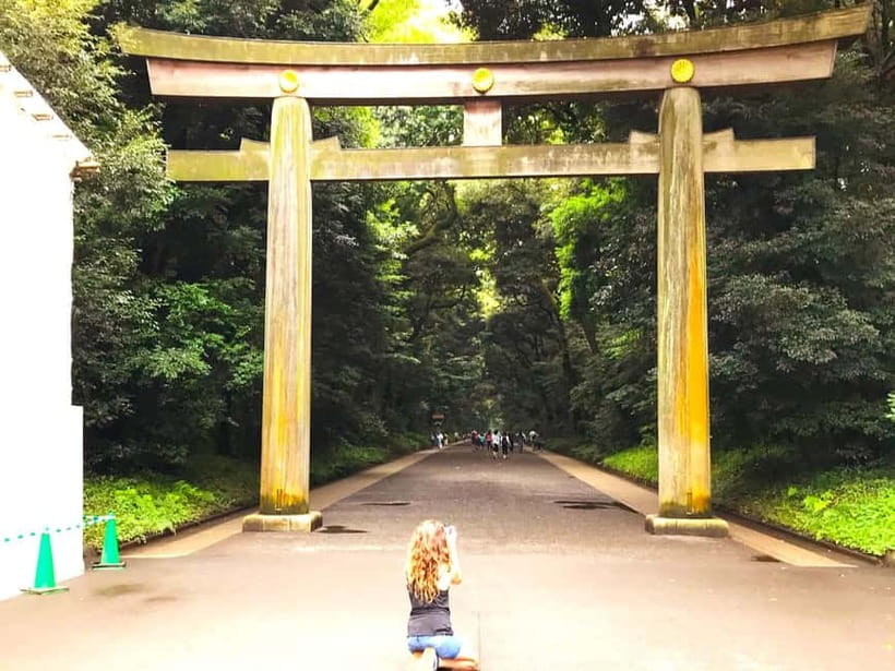 Tokyo: Full Course Tour: Explore 15 Must-Sees & Hidden Gems - Starting at JR Yoyogi: Getting Oriented on Foot and Metro
