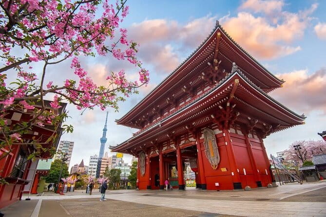 Tokyo Full Day Customize Private City Tour - How the private setup works in Tokyo