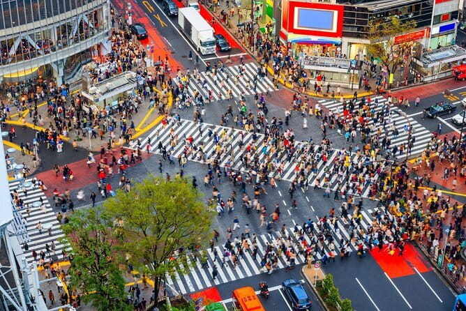 Tokyo Full Day Customize Private Tour with English Guide - A private Tokyo day that moves at your speed