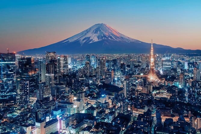 Tokyo Full Day Customize Private Tour with English Guide - Meiji Jingu: a shrine you can feel in your lungs