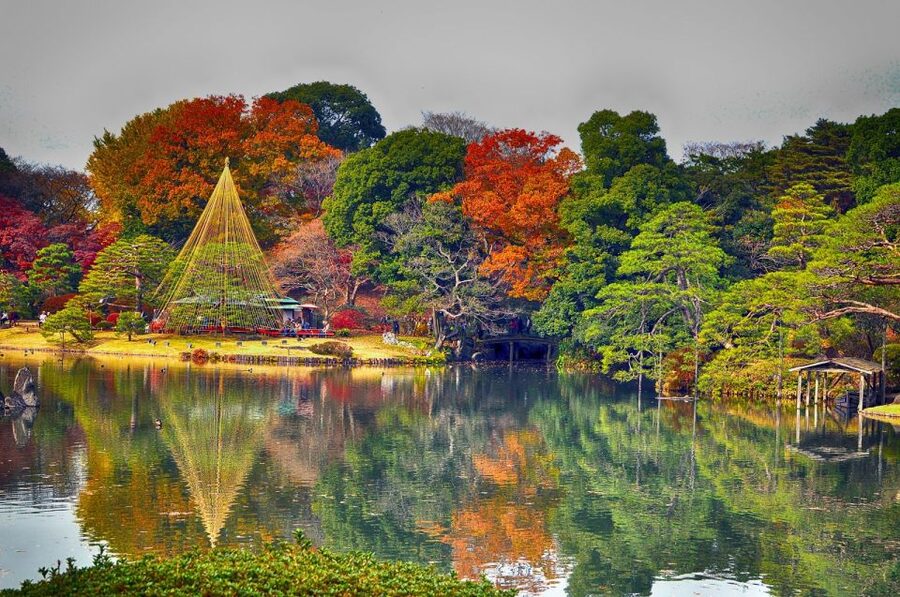 Tokyo: Full-Day Japanese Garden Private Guided Tour - Designing Your Own Tokyo Garden Circuit in 6 Hours