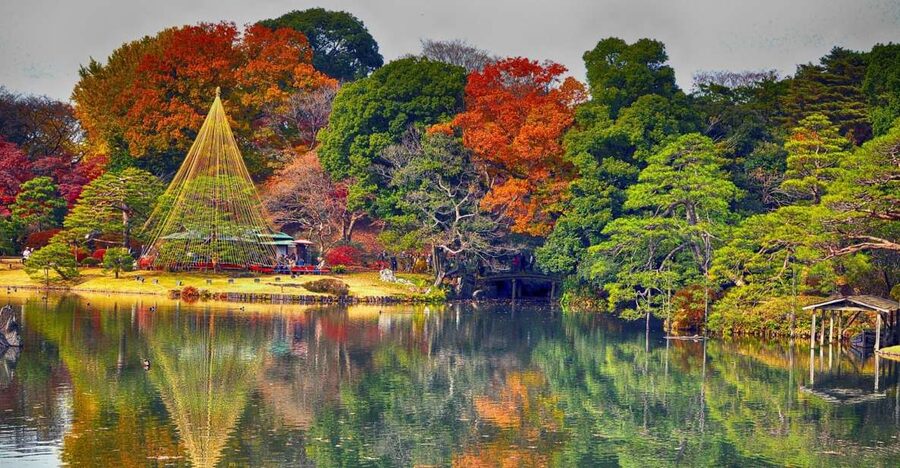 Tokyo: Full-Day Japanese Garden Private Guided Tour - Imperial Palace Gardens: Stately Peace With a Clear Starting Point