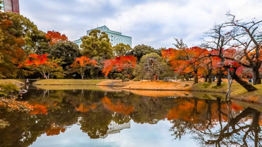 Tokyo: Full-Day Japanese Garden Private Guided Tour - How the Private Guide Shapes the Best Parts of the Day