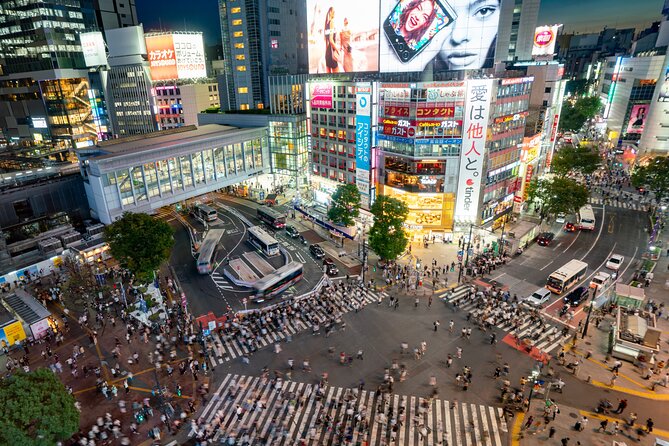 Tokyo Full-Day Private Tour (Customizable) - Stop 1: Tsukiji Fish Market in 60 minutes