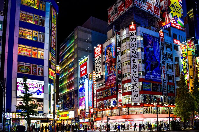Tokyo Full-Day Private Tour (Customizable) - Stop 2: Imperial Palace East Gardens and Edo Castle remains