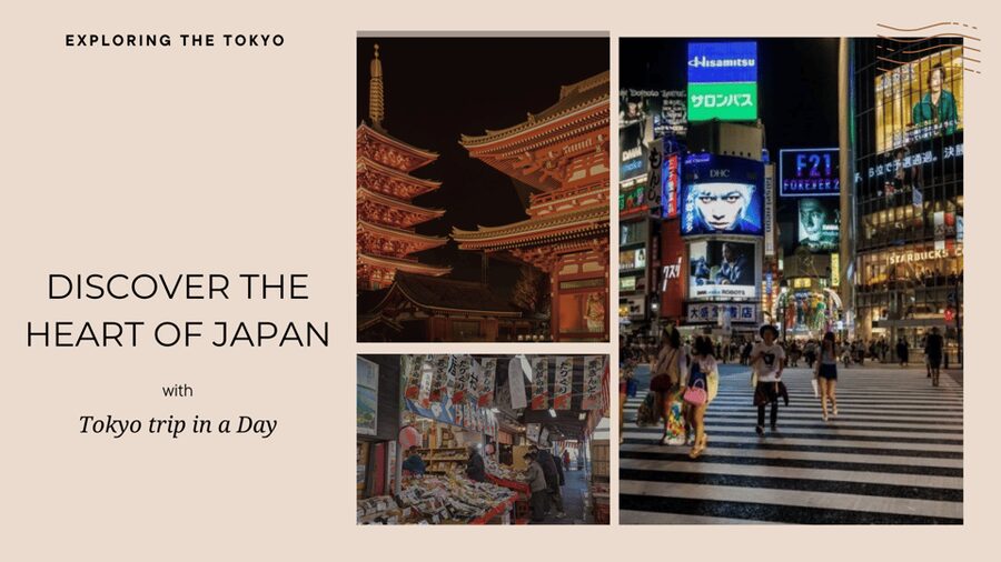 Tokyo full day private tour with Guide - Key things that make this tour work