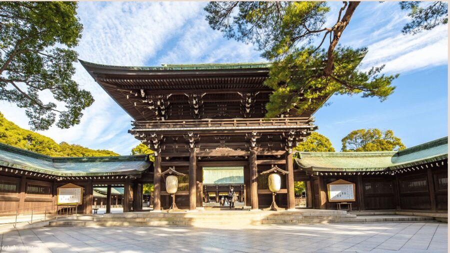 Tokyo full day private tour with Guide - Private Tokyo logistics: less transit stress, more sight-time