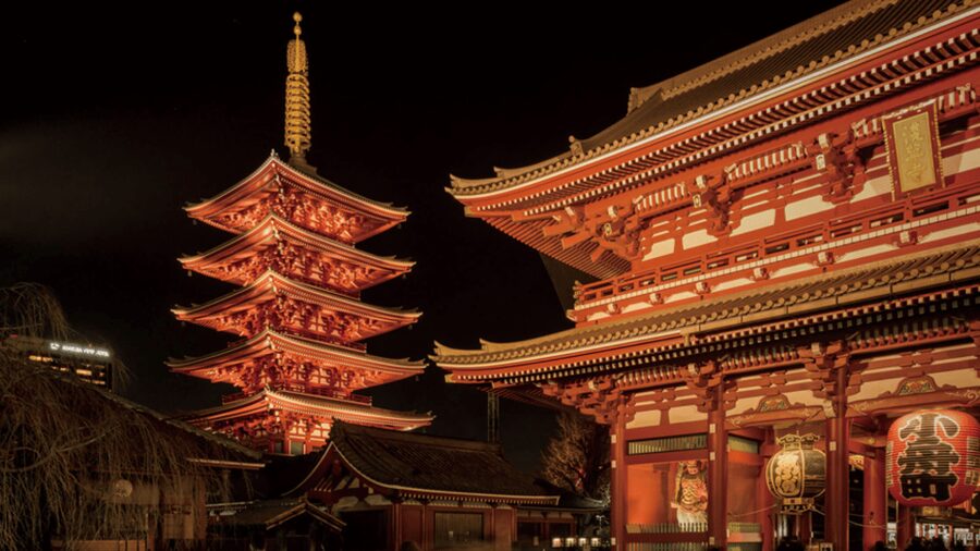 Tokyo full day private tour with Guide - Tsukiji Fish Market: Food Town energy with a guided hour