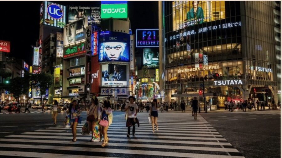 Tokyo full day private tour with Guide - Price and guide expectations: is $329 per group good value?