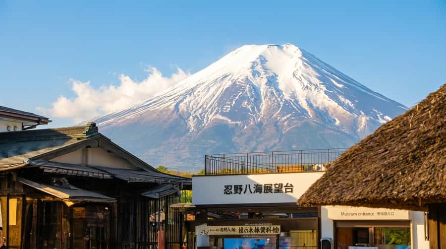 Tokyo: Full-Day Tour of the Six Majestic Spots of Mt Fuji - Quick highlights you can feel in your camera roll