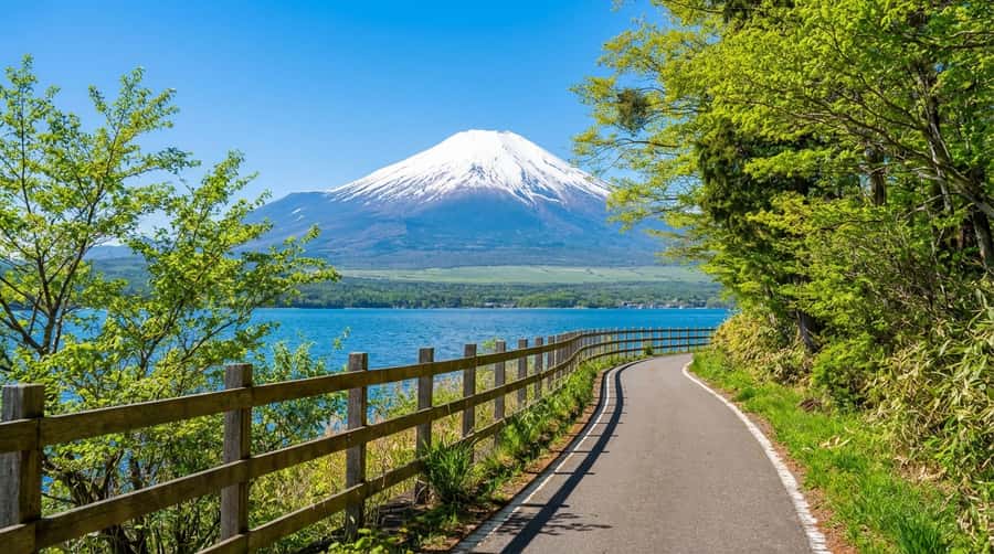 Tokyo: Full-Day Tour of the Six Majestic Spots of Mt Fuji - Asama Park as your reset between major Fuji viewpoints