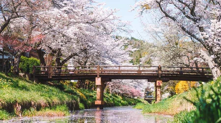 Tokyo: Full-Day Tour of the Six Majestic Spots of Mt Fuji - Arakurayama Sengen Park and the pagoda framed by seasons