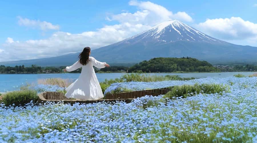 Tokyo: Full-Day Tour of the Six Majestic Spots of Mt Fuji - Oshino Hakkai springs: UNESCO water and an easy walking circuit
