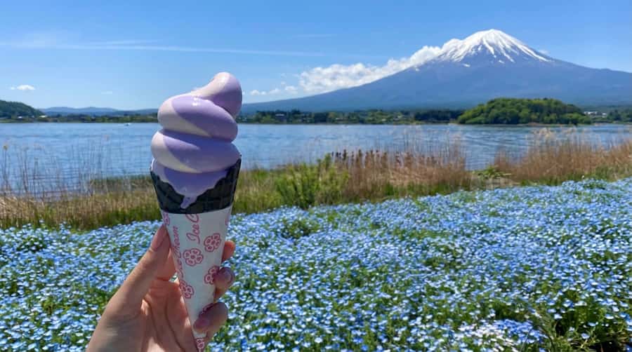 Tokyo: Full-Day Tour of the Six Majestic Spots of Mt Fuji - Value check: Is $45 enough for this kind of Fuji day?