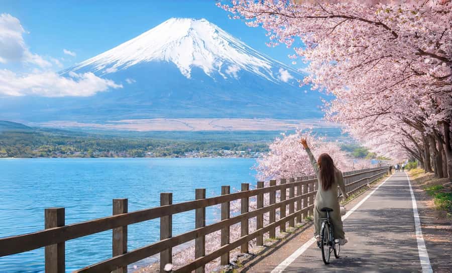 Tokyo: Full-Day Tour of the Six Majestic Spots of Mt Fuji - The Higashikawa Clock Shop road effect and the Lawson selfie stop