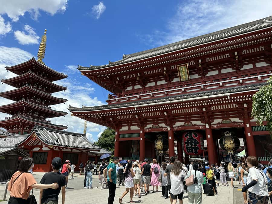 Tokyo: Full-Day Tour w/Tea Experience,Buffet Lunch & Cruise - Tokyo Tower: Panoramic Finisher Mode