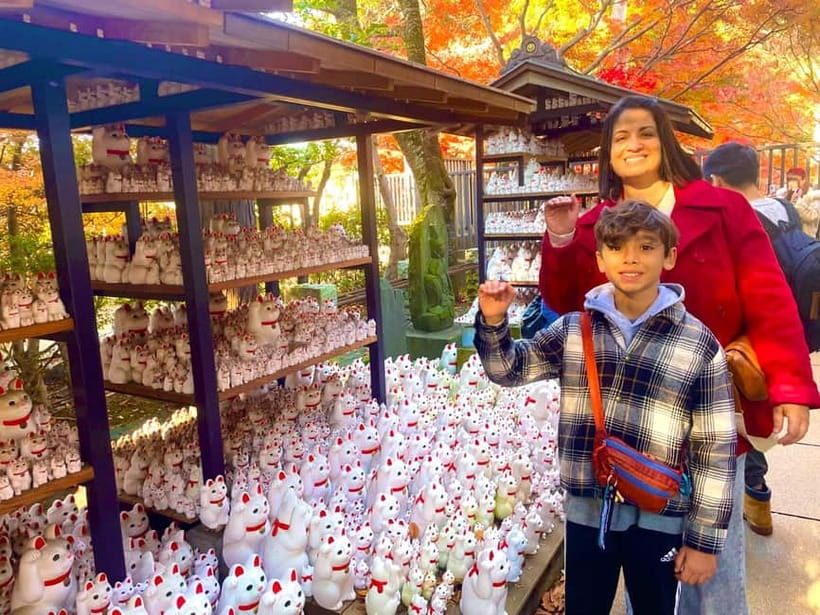Tokyo: Gotokuji Cat Temple, Shinjuku Cat Cafe & 3D Cat Tour - Key highlights you should care about