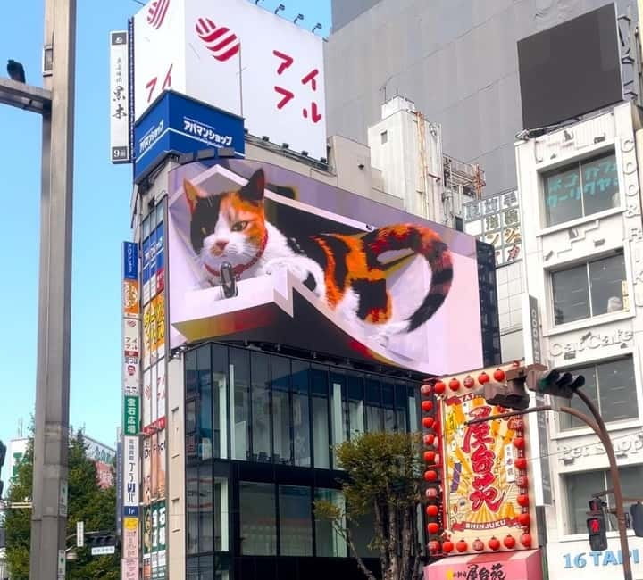 Tokyo: Gotokuji Cat Temple, Shinjuku Cat Cafe & 3D Cat Tour - Gotokuji Cat Temple: the Lucky Cat visit with a temple rhythm