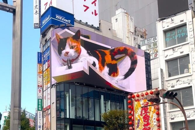 Tokyo: Gotokuji Lucky Cat Temple, Shinjuku Cat Cafe, 3D Giant Cat - Cat Café MOCHA Lounge Shinjuku: the main event