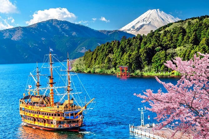 Tokyo: Gotokuji Lucky Cat Temple, Shinjuku Cat Cafe, 3D Giant Cat - The guide factor: why the small group matters