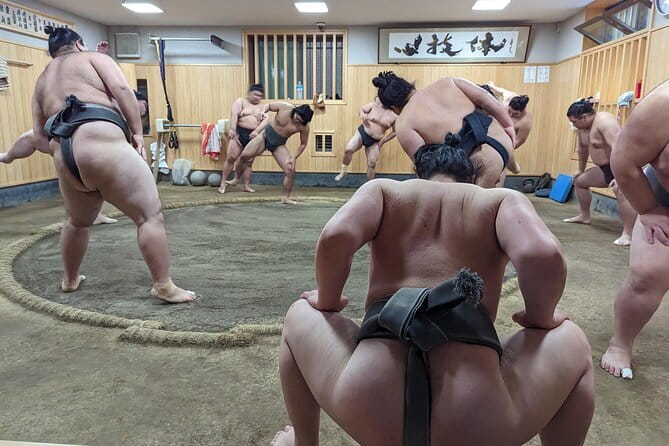 Tokyo: Gotokuji Lucky Cat Temple, Shinjuku Cat Cafe, 3D Giant Cat - Who this tour suits (and who should skip it)
