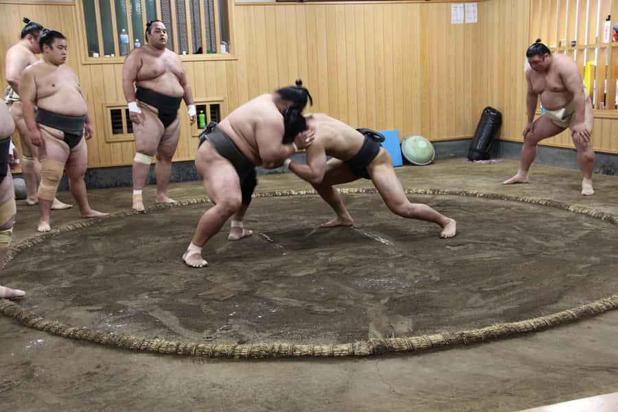 Tokyo: Grand Sumo Morning Training Tour - What You Can (and Can’t) Film: Photo Rules That Matter