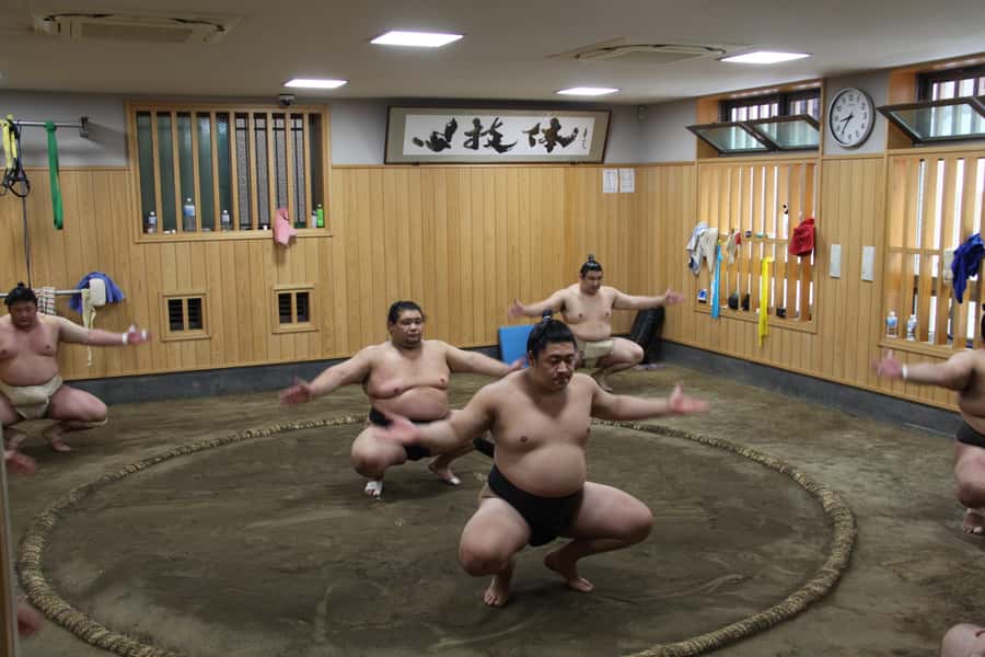 Tokyo: Grand Sumo Morning Training Tour - Who This Sumo Training Tour Is For
