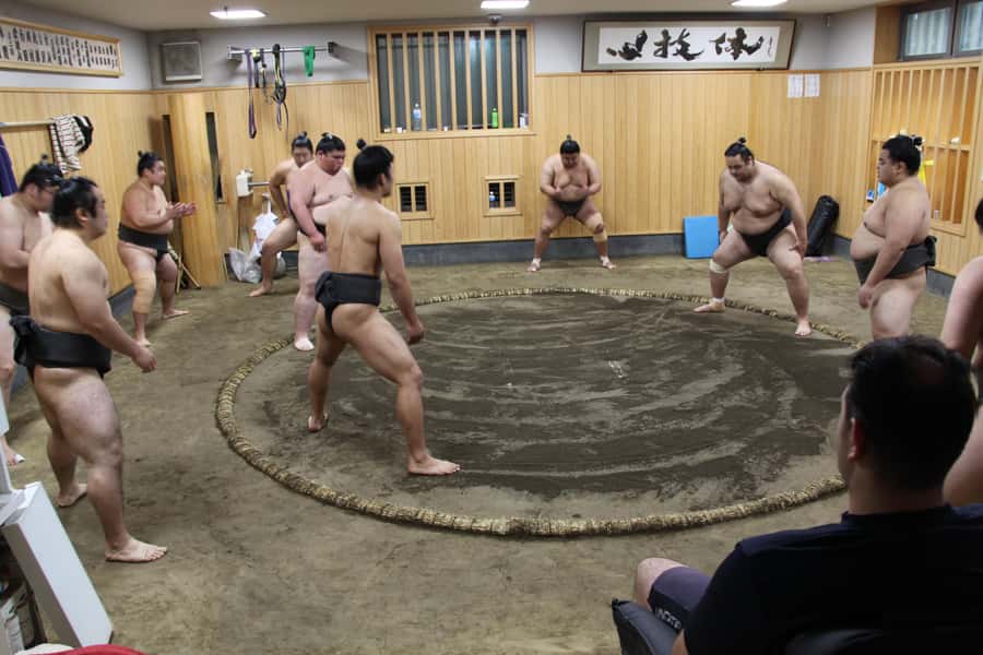 Tokyo: Grand Sumo Morning Training Tour - Getting Into the Sumo Stable: Permission and Procedure