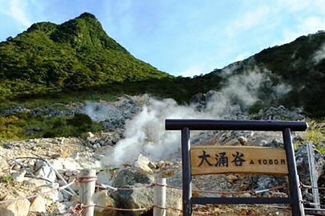 Tokyo: Hakone Fuji Day Tour w/ Cruise, Cable Car, Volcano - Lunch timing: plan for food that’s there when you need it