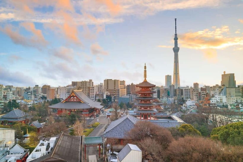 Tokyo: Half-Day Morning Small Group Tour - Who this Tokyo half-day morning tour is best for