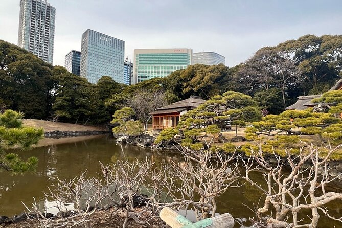 Tokyo: Hama-rikyu Gardens tour with Japanese Tea & Sweets - Hama-rikyū Gardens tour: why this Edo-era setting feels special